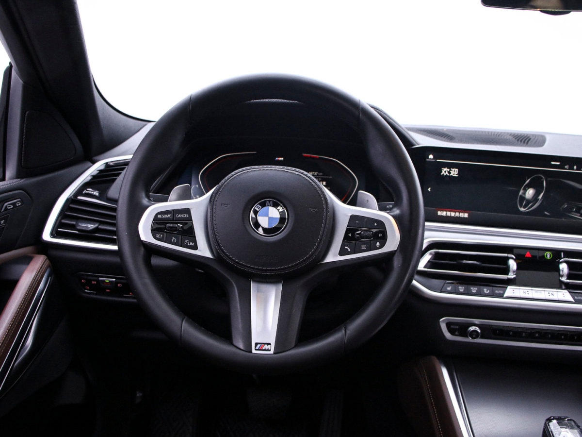 寶馬X6 2021款 xDrive30i M運動套裝圖片