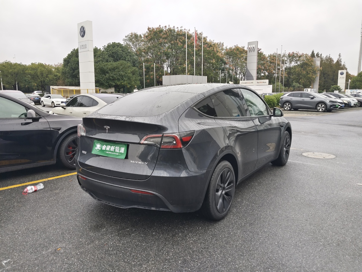 特斯拉 Model Y  2020款 改款 長(zhǎng)續(xù)航后輪驅(qū)動(dòng)版圖片