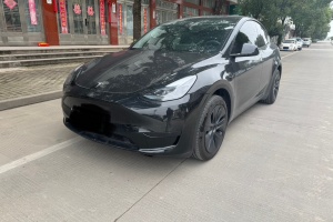 Model Y 特斯拉 后輪驅(qū)動(dòng)版