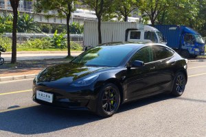 Model 3 特斯拉 改款 標(biāo)準(zhǔn)續(xù)航后驅(qū)升級版