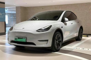 Model Y 特斯拉 标准续航后驱版