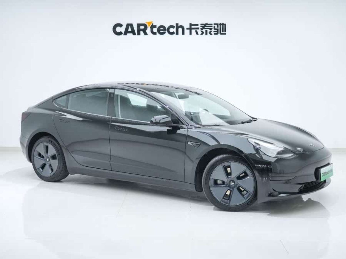 特斯拉 Model 3  2021款 標(biāo)準(zhǔn)續(xù)航后驅(qū)升級(jí)版 3D6圖片