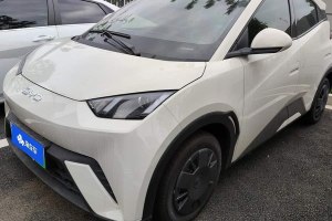 海鷗 比亞迪 305km 活力版