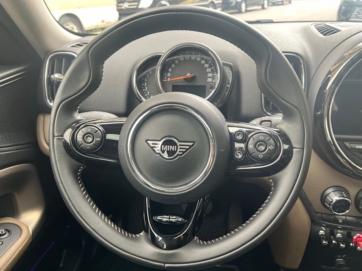 MINI COUNTRYMAN  2018款 2.0T COOPER S ALL4 藝術(shù)家圖片