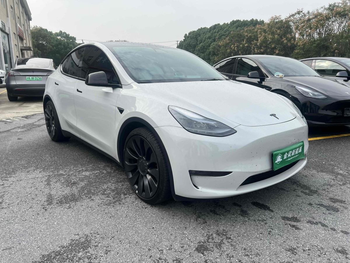 特斯拉 Model Y  2022款 Performance高性能全輪驅(qū)動版圖片