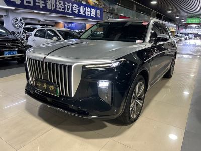 2021年2月 红旗 红旗E-HS9 690km 旗享版 六座图片