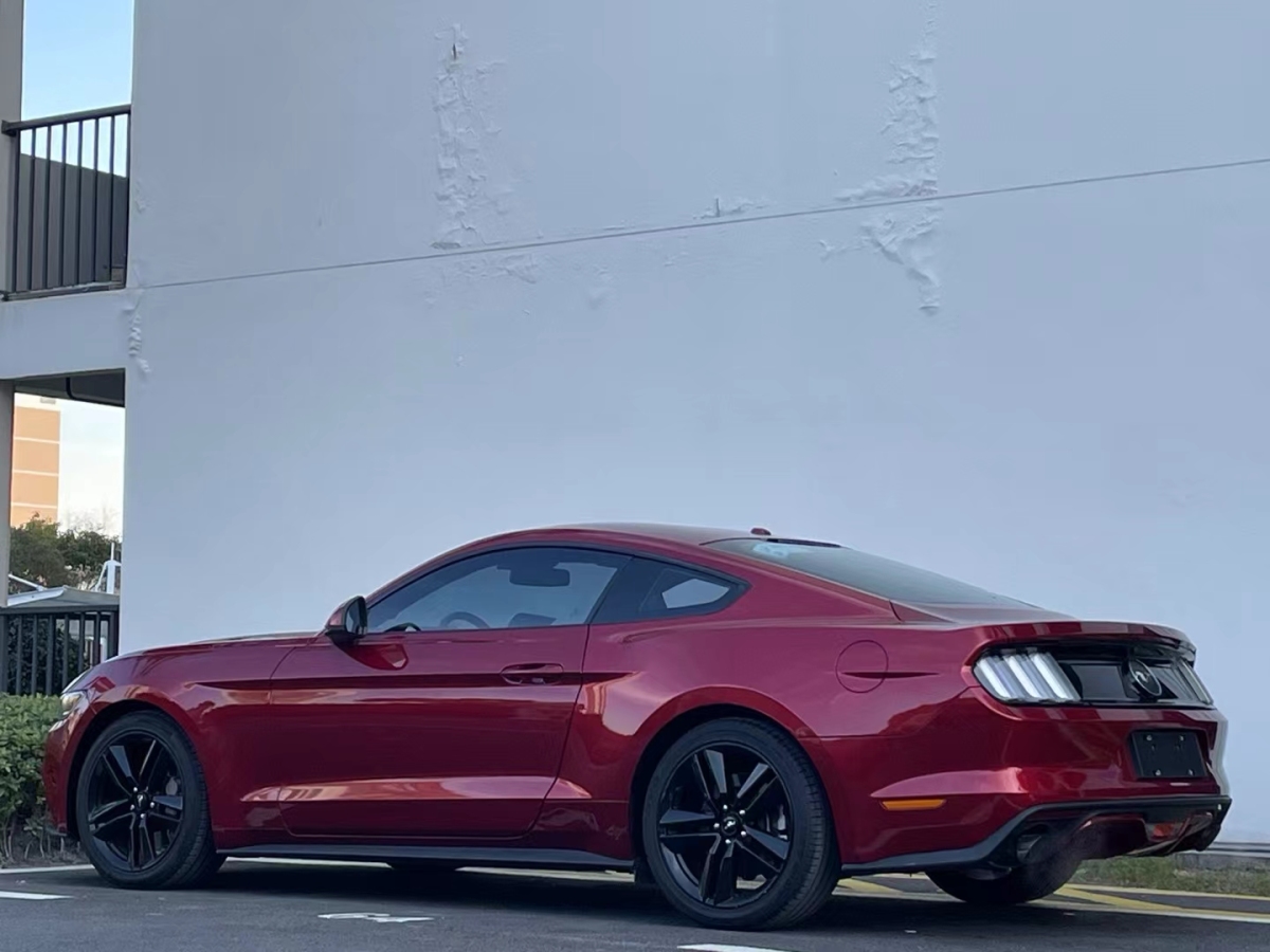 福特 Mustang  2017款 2.3T 性能版圖片