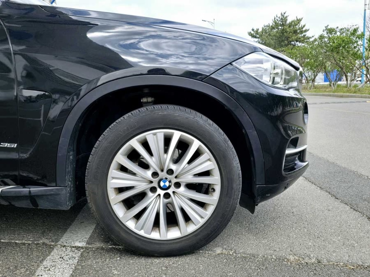寶馬 寶馬X5  2014款 xDrive35i 領先型圖片