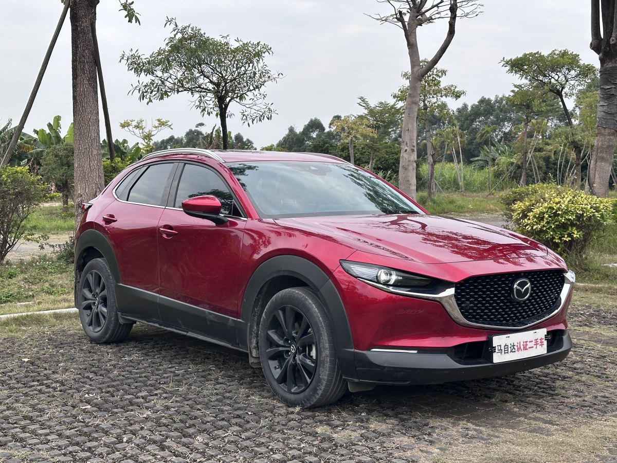 馬自達(dá) CX-30  2020款 2.0L 自動(dòng)尊悅型圖片