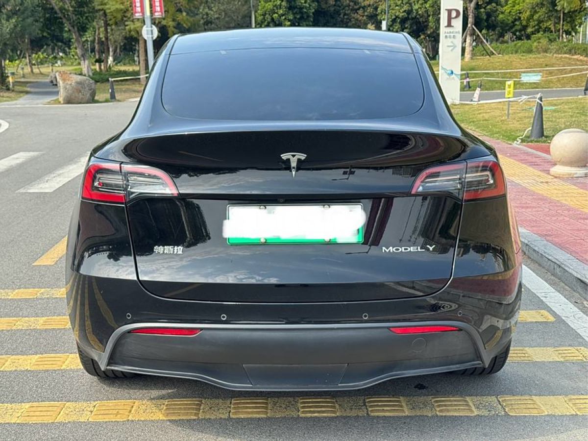 特斯拉 Model 3  2020款 改款 長續(xù)航后輪驅(qū)動版圖片