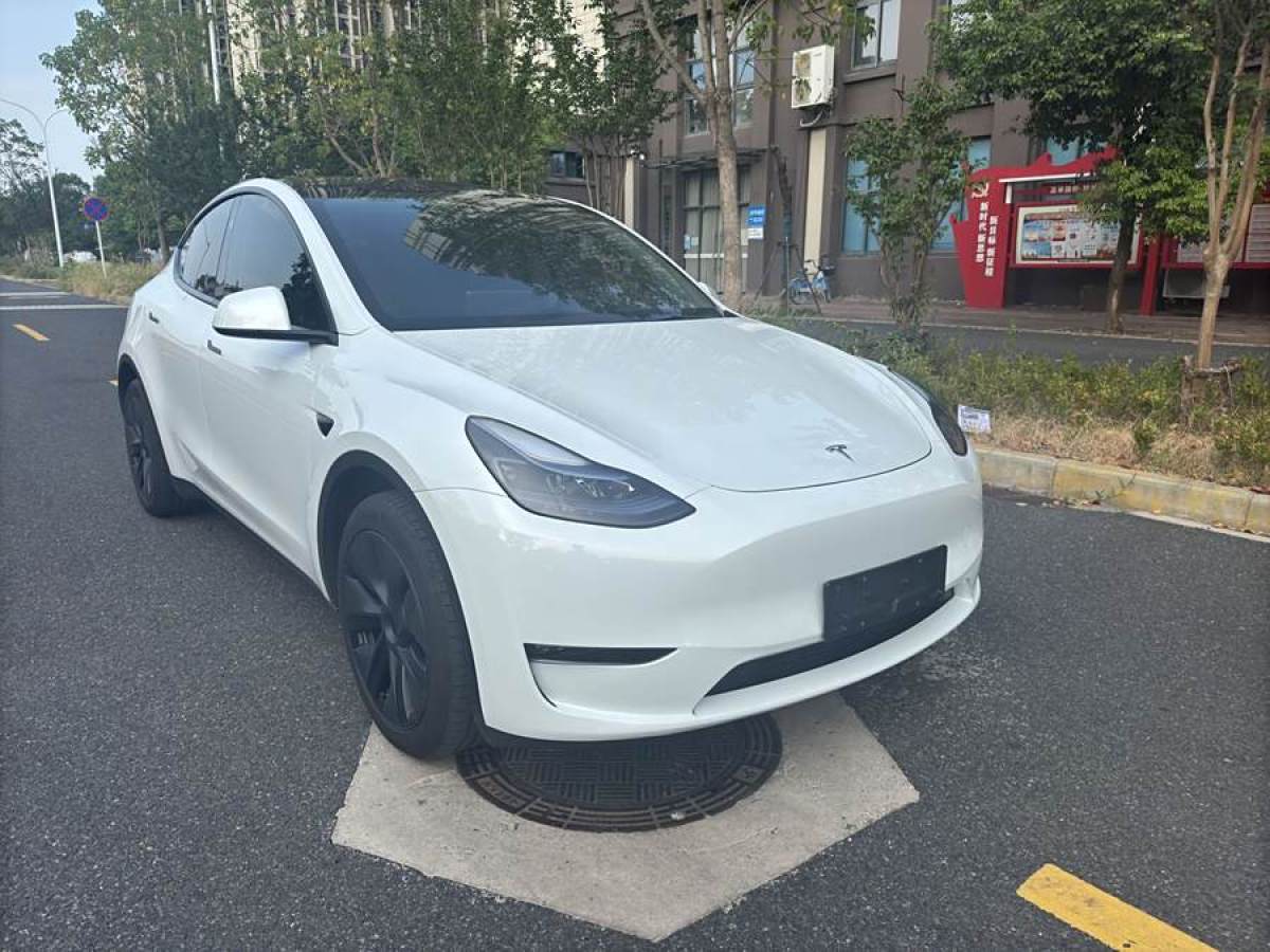 2024年3月特斯拉 Model 3  2024款 長續(xù)航全輪驅(qū)動版