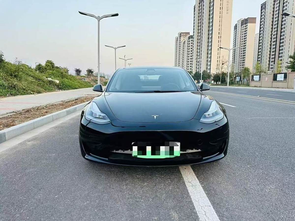 特斯拉 Model 3  2019款 標準續(xù)航后驅(qū)升級版圖片