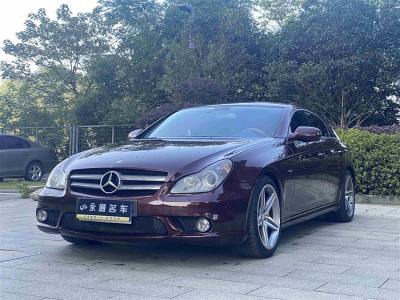 2010年12月 奔馳 奔馳CLS級(jí)(進(jìn)口) CLS 350圖片