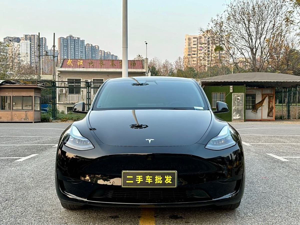 特斯拉 Model 3  2022款 后輪驅(qū)動版圖片