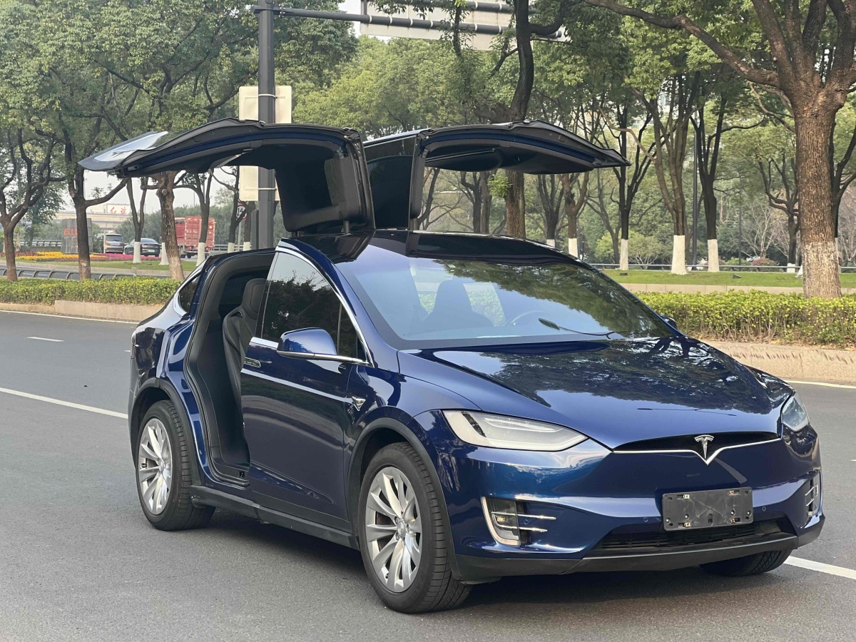 特斯拉 Model X  2016款 Model X 75D圖片