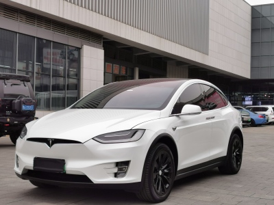 2019年3月 特斯拉 Model X Model X 100D 長(zhǎng)續(xù)航版圖片