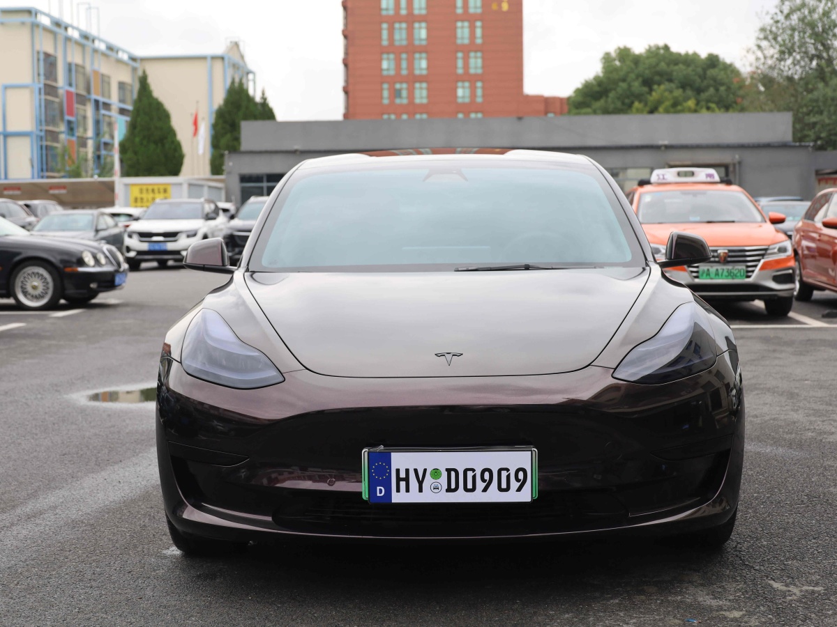 特斯拉 Model 3  2019款 標(biāo)準(zhǔn)續(xù)航后驅(qū)升級版圖片