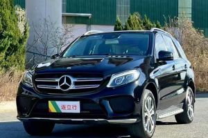 奔馳A級(jí)AMG 奔馳 2017款 改款 AMG A 45 4MATIC 國(guó)VI