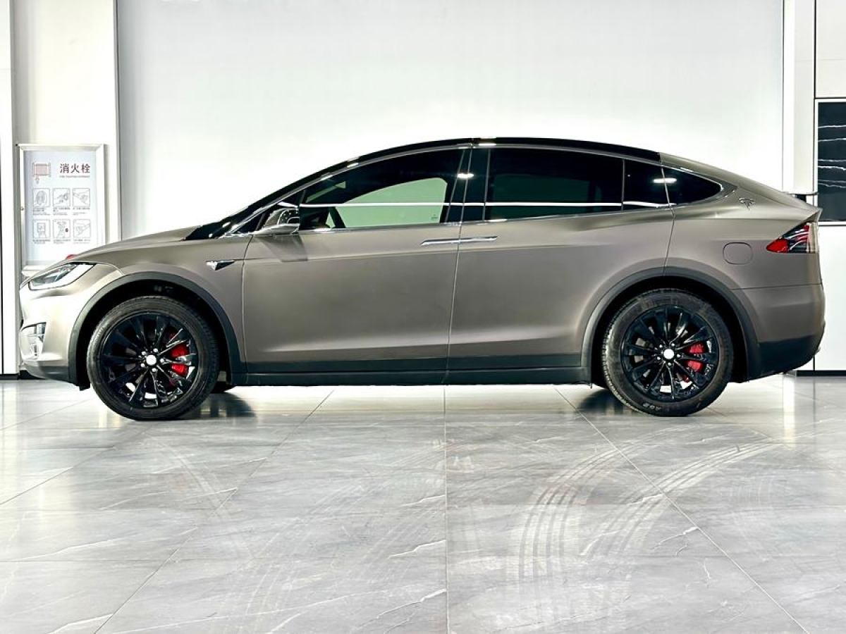 2020年1月特斯拉 Model X  2019款 長續(xù)航版