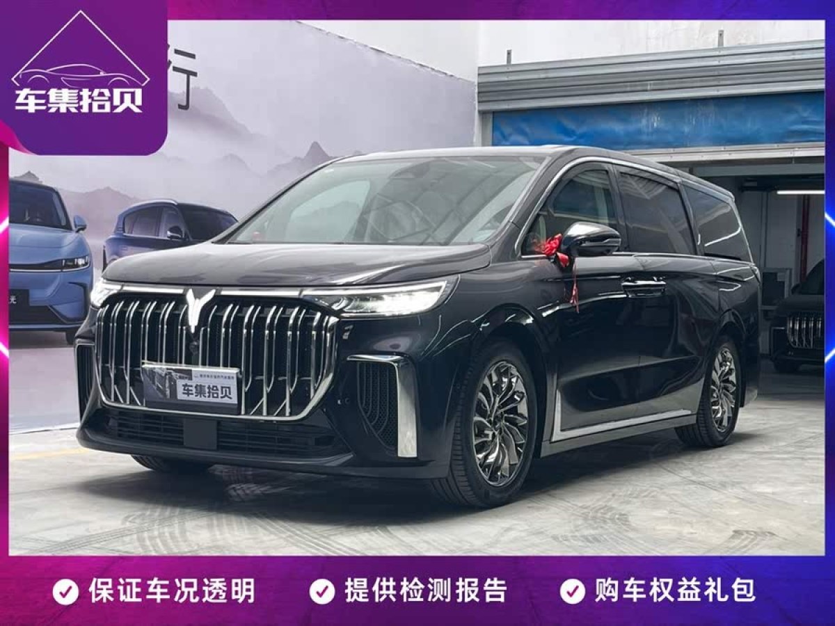 嵐圖 夢想家  2024款 PHEV 超長續(xù)航旗艦版圖片