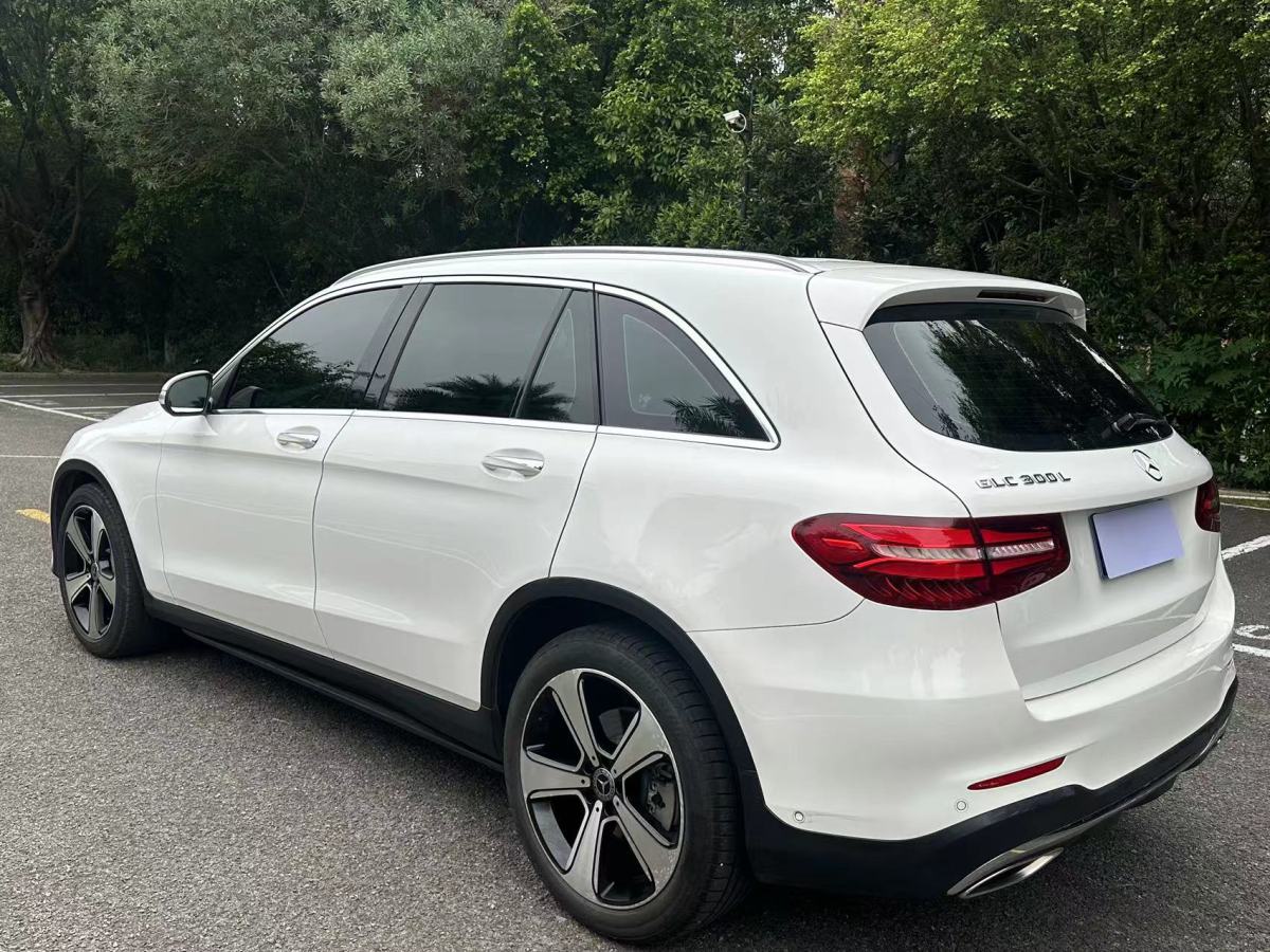 奔馳 奔馳GLC  2019款 GLC 300 L 4MATIC 動(dòng)感型圖片