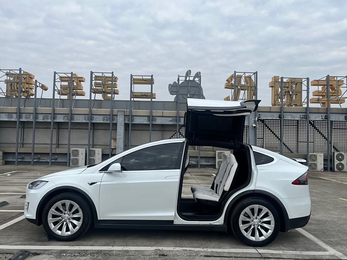 特斯拉 Model X  2017款 Model X 100D 長續(xù)航版圖片