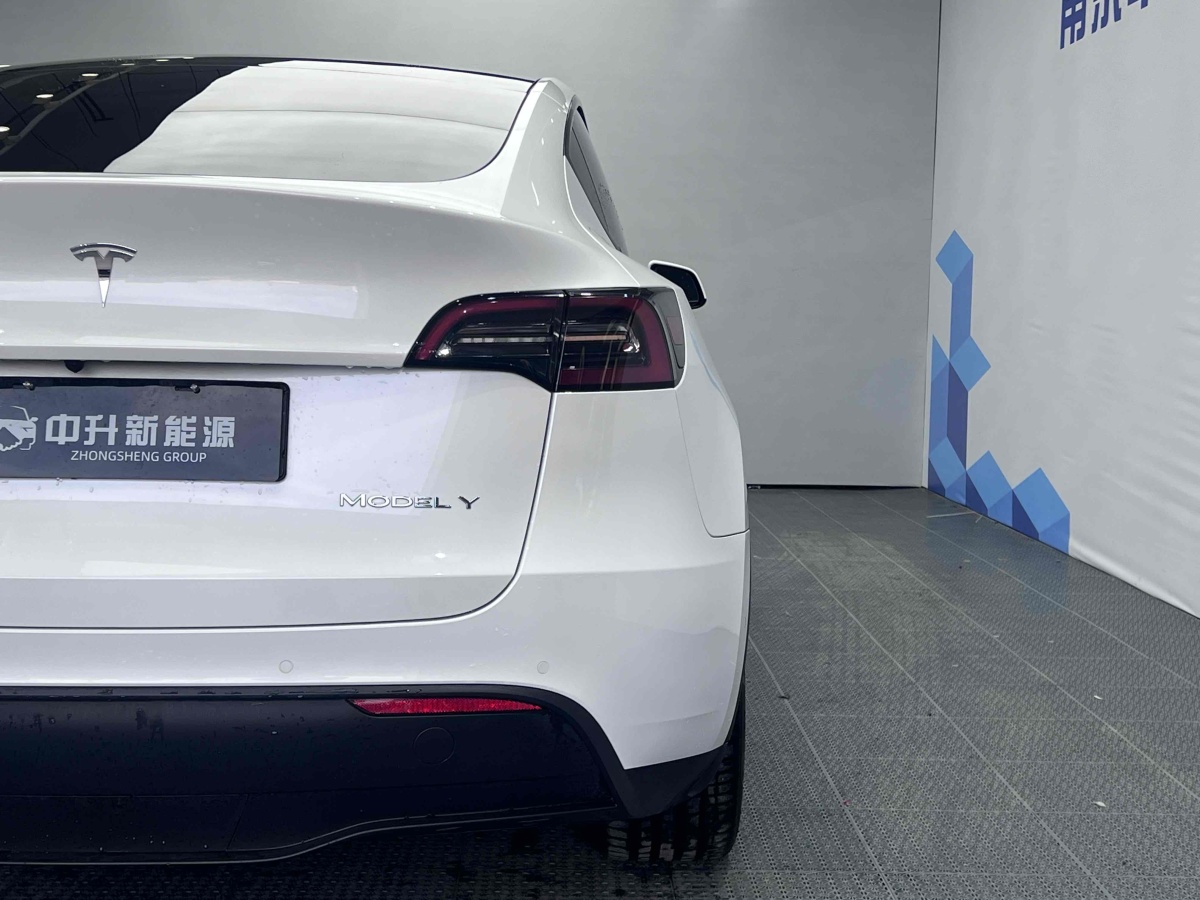 特斯拉 Model 3  2020款 改款 長(zhǎng)續(xù)航后輪驅(qū)動(dòng)版圖片