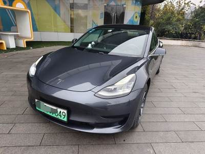 2020年4月 特斯拉 Model 3 標(biāo)準(zhǔn)續(xù)航后驅(qū)升級(jí)版圖片