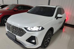 拿鐵DHT-PHEV WEY 1.5T 四驅(qū)超大杯
