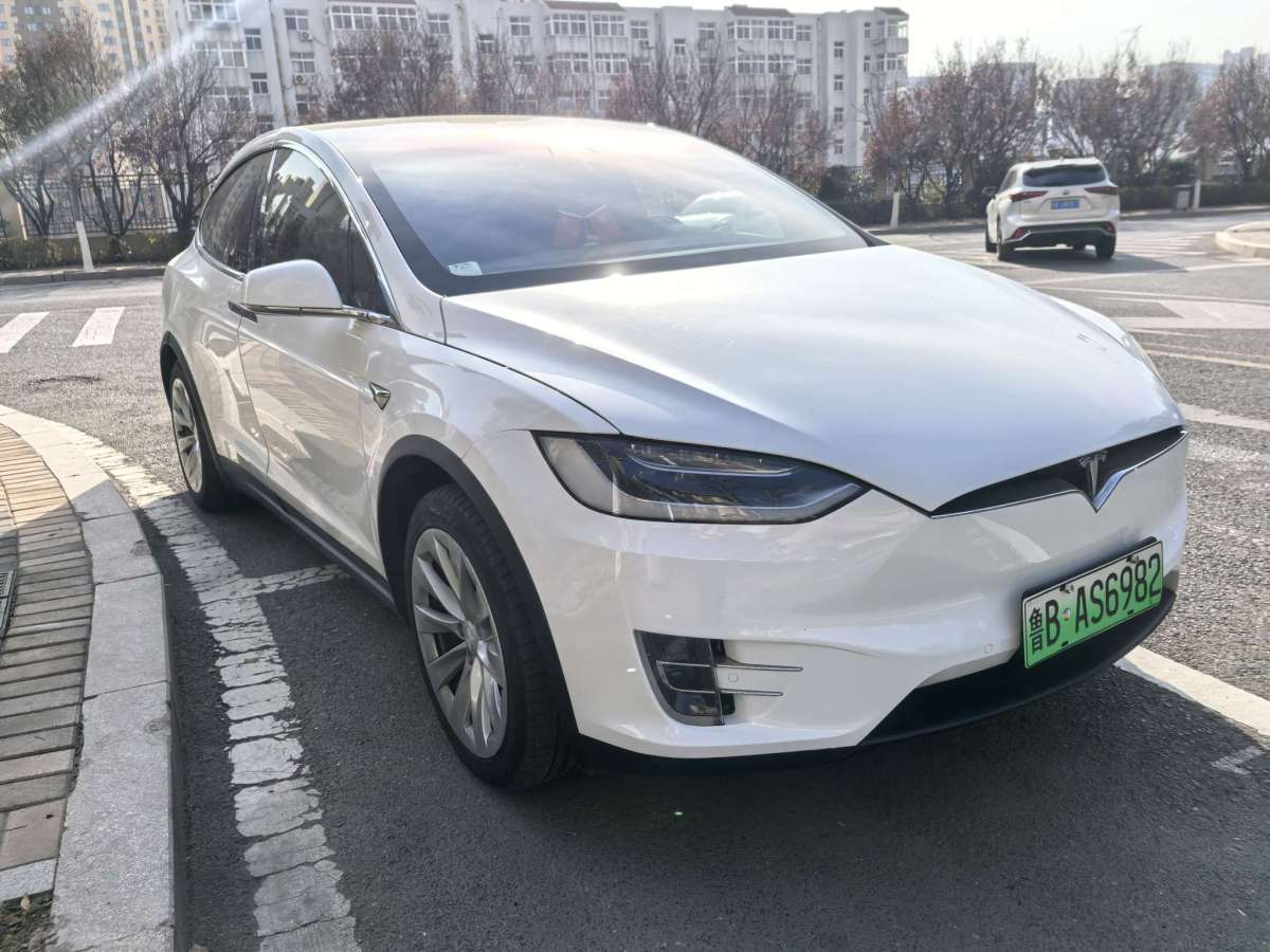 特斯拉 Model X  2016款 Model X 60D圖片