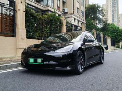 2021年6月 特斯拉 Model 3 Performance高性能全輪驅(qū)動(dòng)版圖片