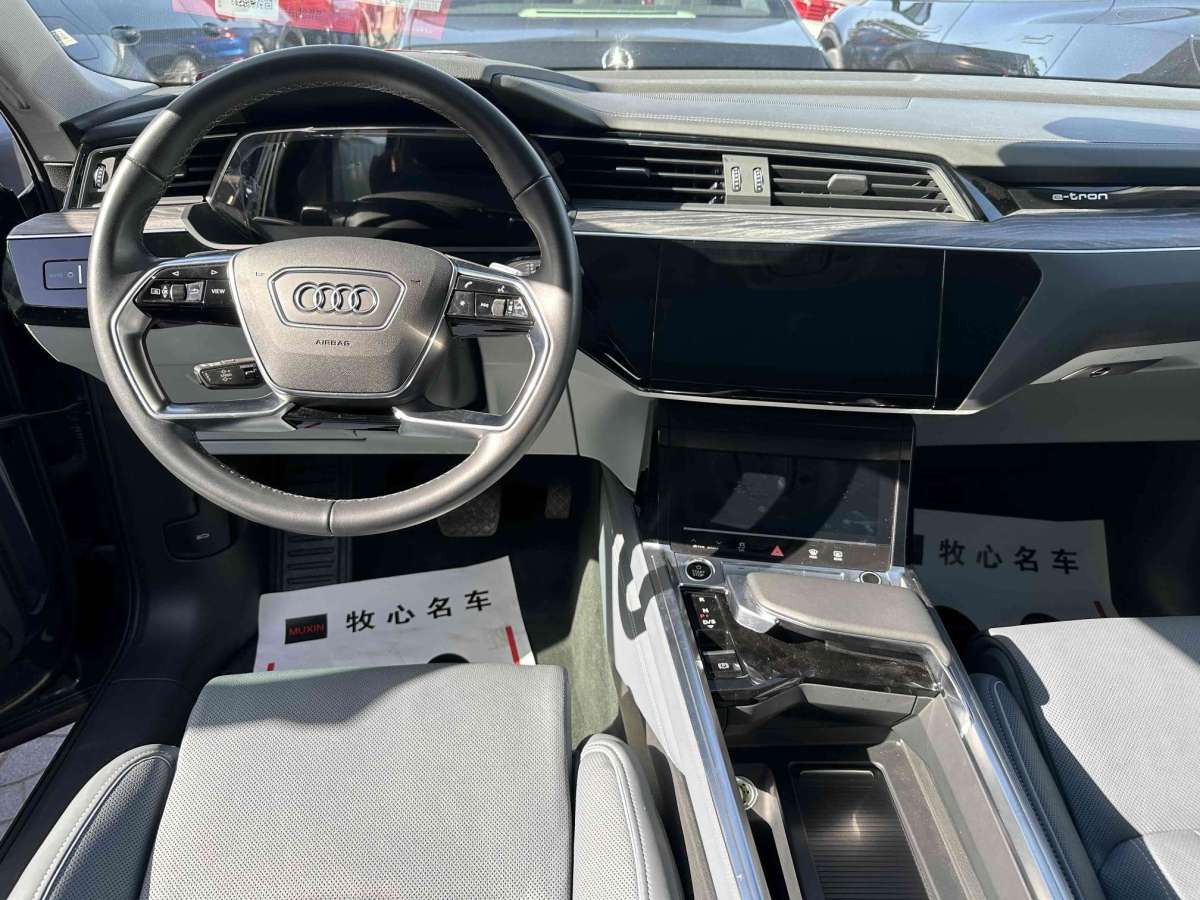 奧迪 奧迪e-tron  2021款 Sportback 55 quattro 臻選型圖片