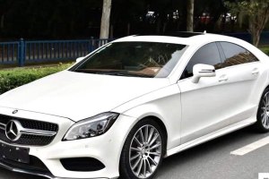 奔馳CLS級(jí) 奔馳 CLS 320逸彩版