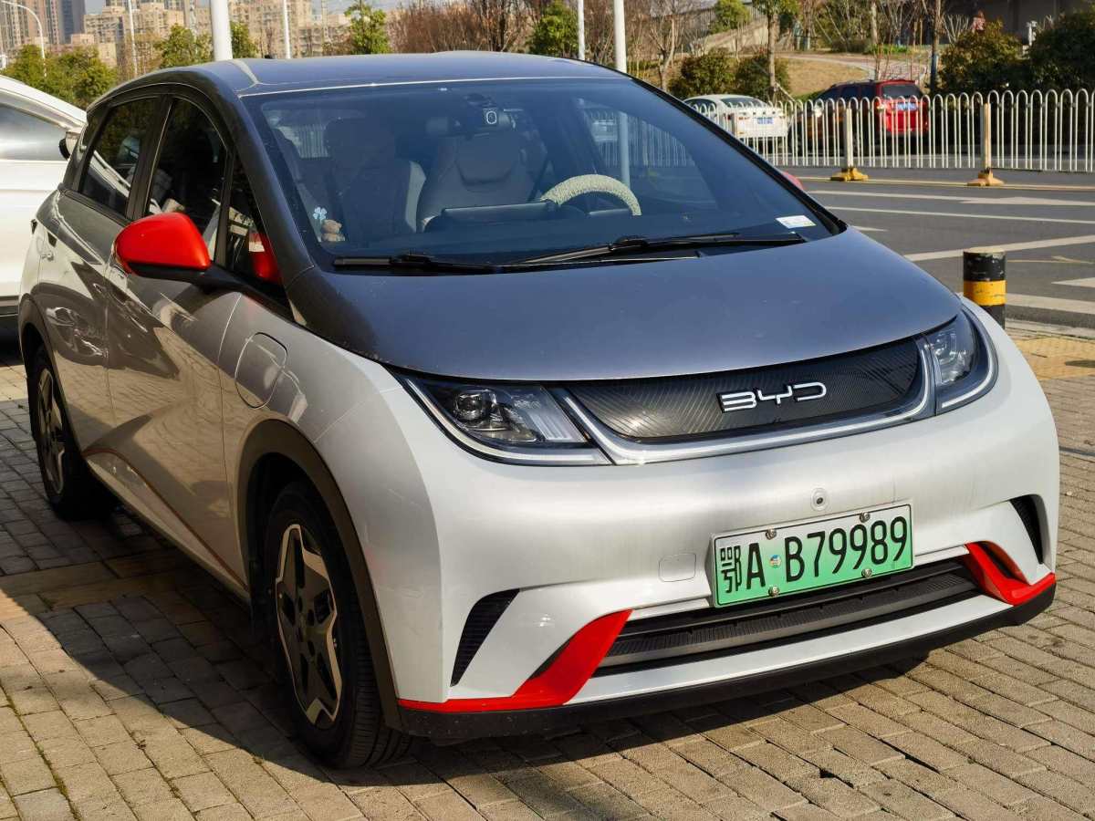 比亞迪 海豚  2021款 405km 自由版圖片