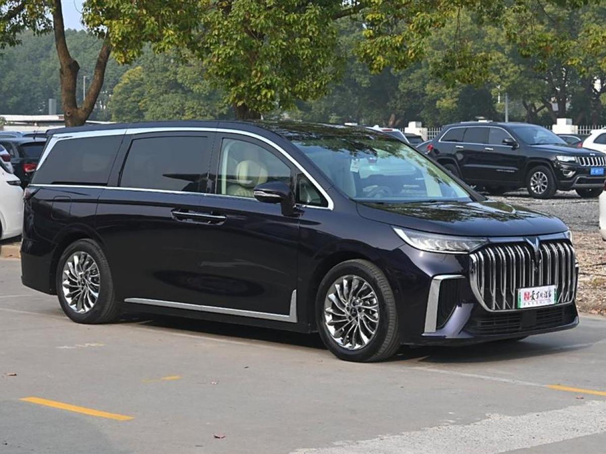 岚图 梦想家  2024款 PHEV 超长续航旗舰版图片