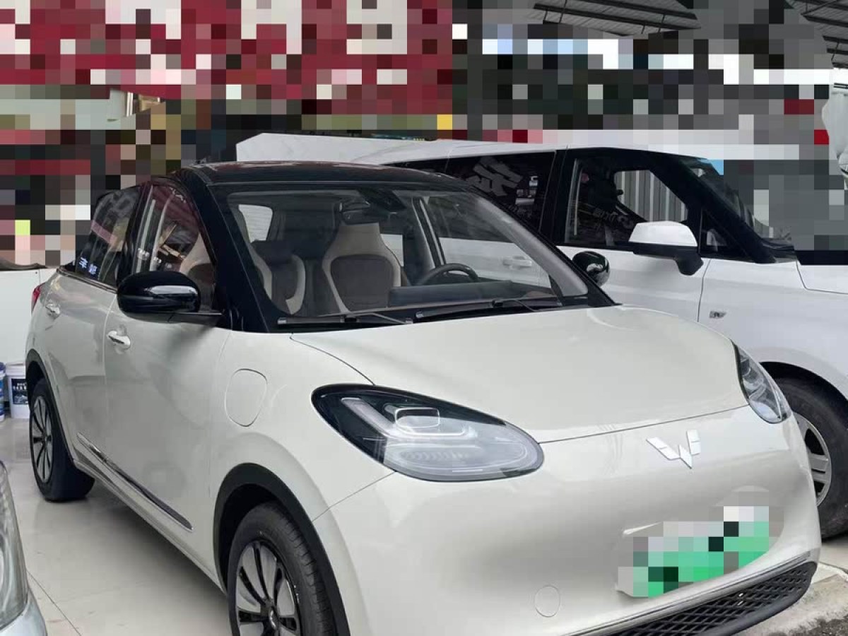 五菱 五菱繽果  2023款 333km 快享款圖片
