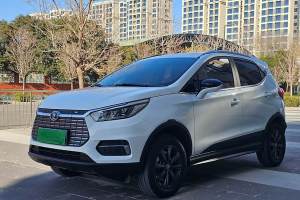 元新能源 比亞迪 EV535 智聯(lián)領(lǐng)創(chuàng)型