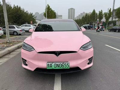 2020年8月 特斯拉 Model X 標(biāo)準(zhǔn)續(xù)航版圖片