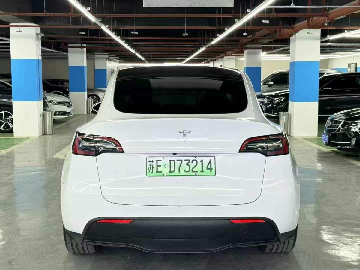 特斯拉 Model Y  2022款 Performance高性能全輪驅(qū)動(dòng)版圖片