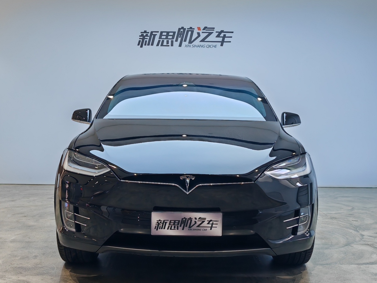 特斯拉 Model X  2019款 長續(xù)航版圖片