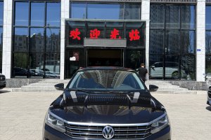 帕薩特 大眾 330TSI DSG尊榮版