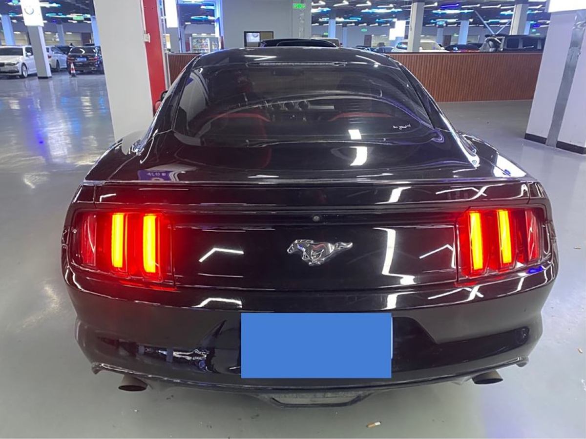 福特 Mustang  2015款 2.3T 性能版圖片