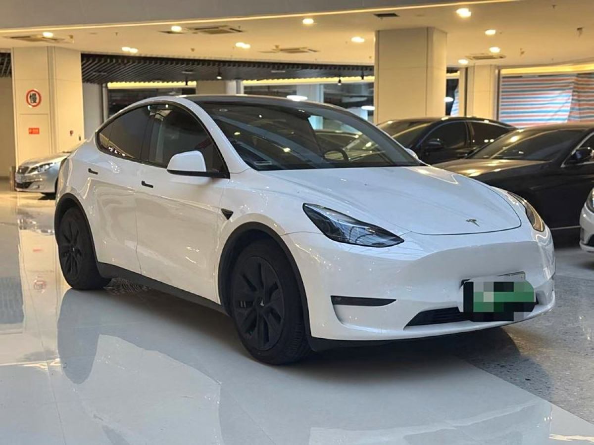 特斯拉 Model Y  2021款 改款 長續(xù)航全輪驅動版圖片