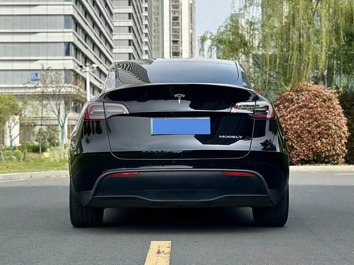 特斯拉 Model Y  2020款 改款 長續(xù)航后輪驅(qū)動版圖片