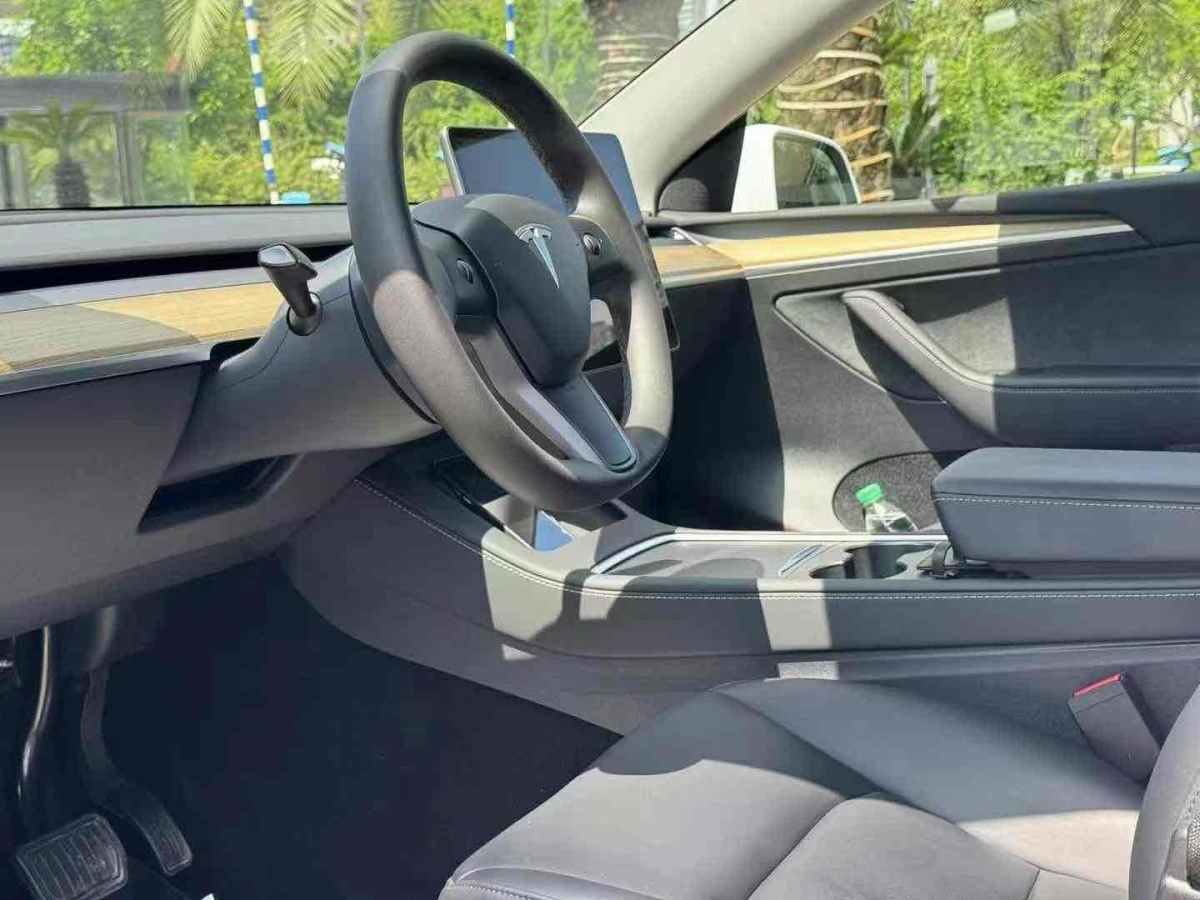 特斯拉 Model 3  2021款 改款 標準續(xù)航后驅(qū)升級版圖片