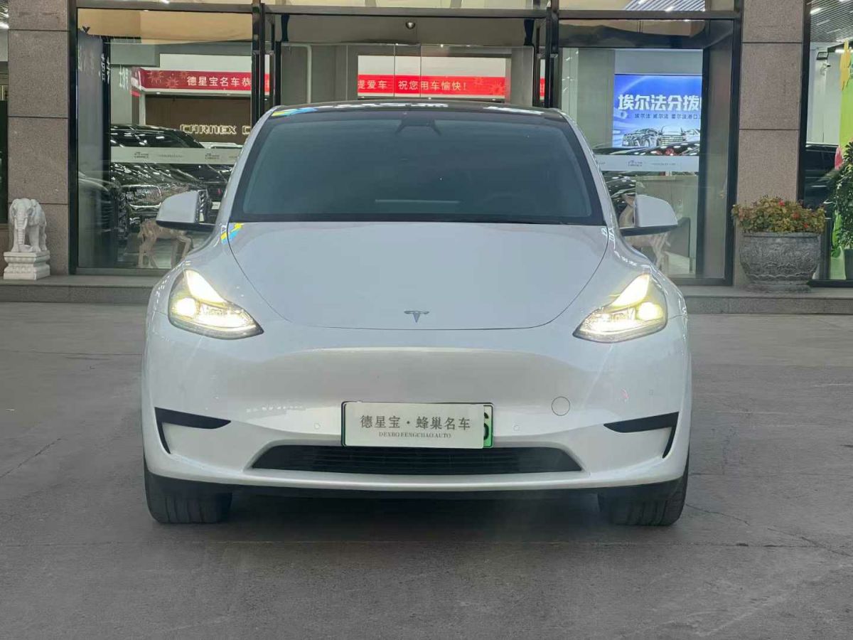 特斯拉 Model 3  2022款 Performance高性能全輪驅(qū)動版圖片