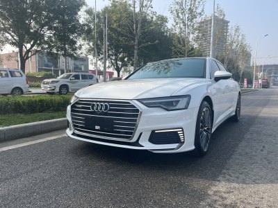 2021年1月 奧迪 奧迪A6L新能源 55 TFSI e quattro圖片