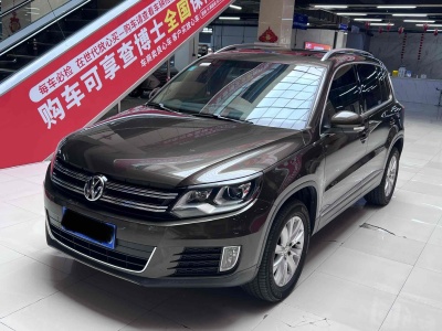 2014年2月 大眾 途觀 2.0TSI 自動(dòng)四驅(qū)豪華版圖片