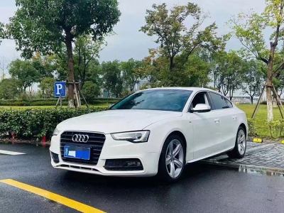 2017年4月 奧迪 奧迪A5(進(jìn)口) 改款 Sportback 45 TFSI 舒適型圖片