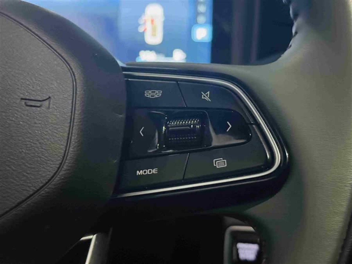 吉利 豪越L  2023款 2.0T DCT尊貴型圖片